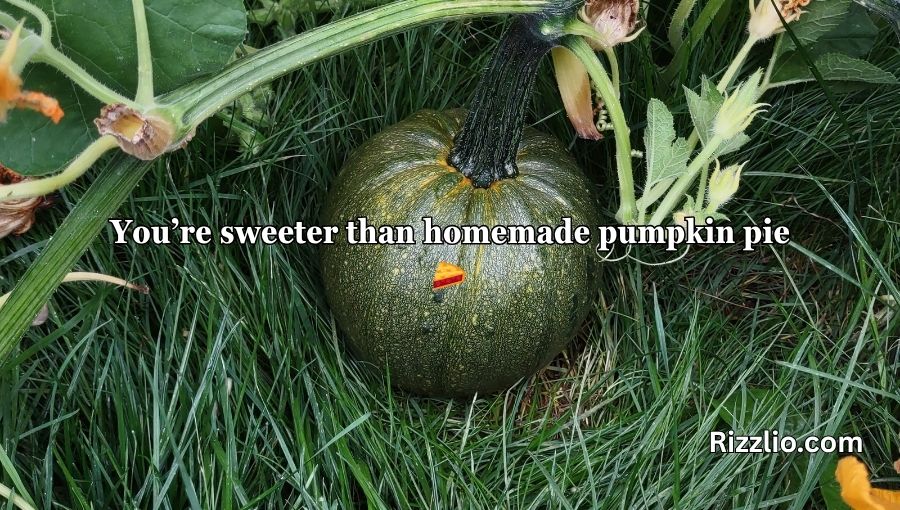 Pumpkin Pick Up Lines