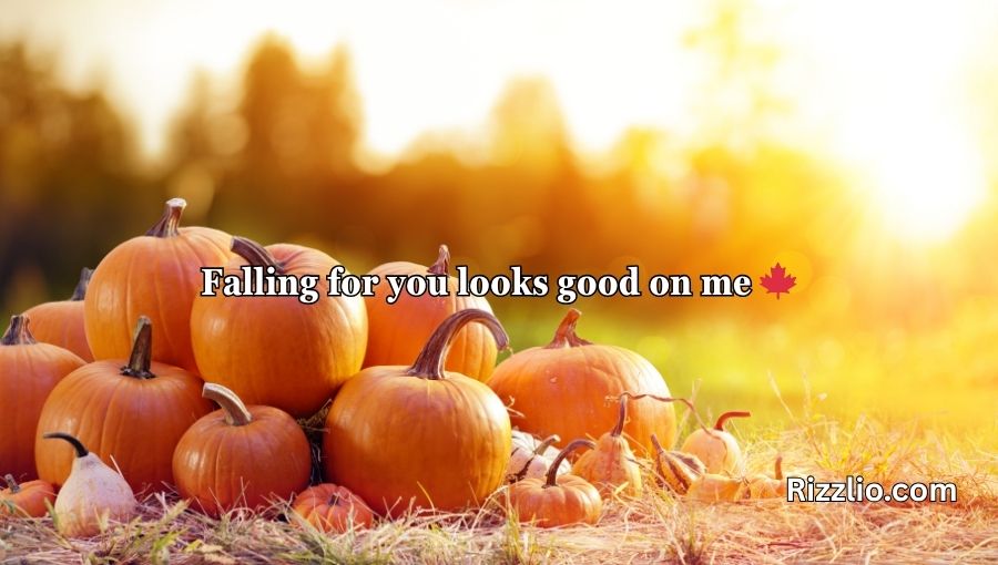Pumpkin Pick Up Lines