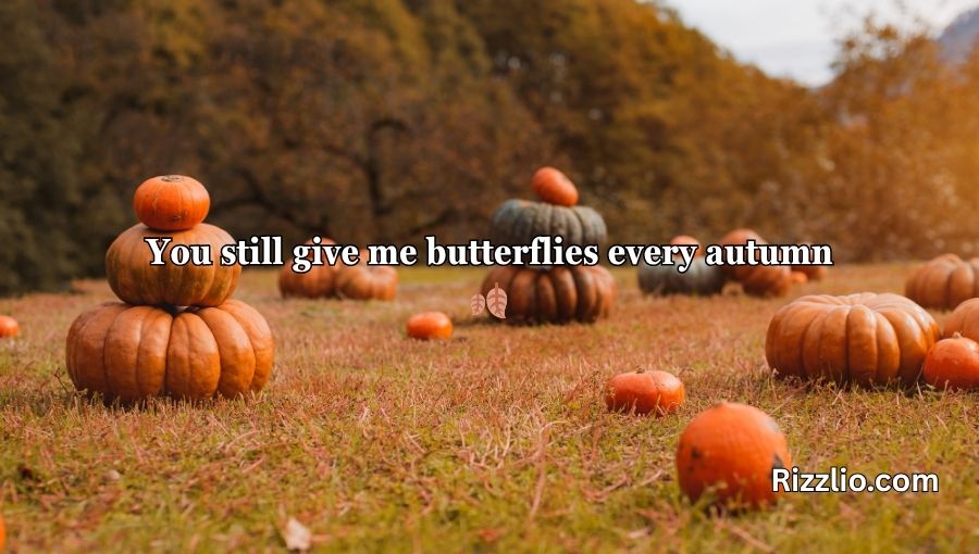 Pumpkin Pick Up Lines