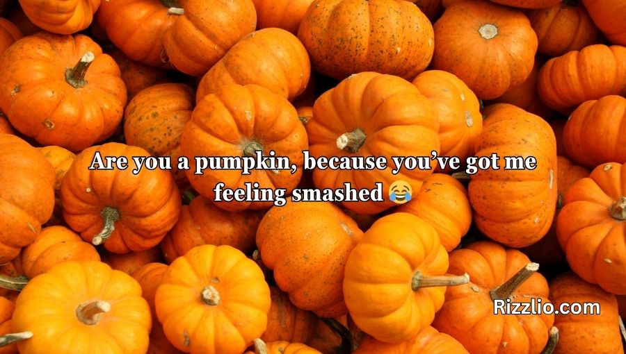 Pumpkin Pick Up Lines