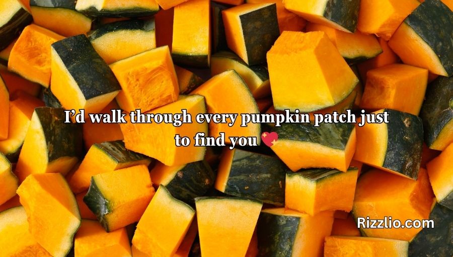 Pumpkin Pick Up Lines