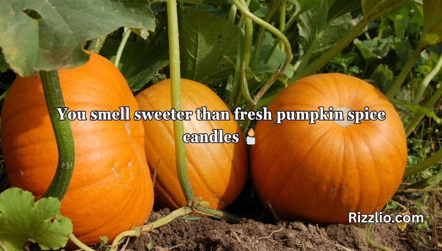 Pumpkin Pick Up Lines
