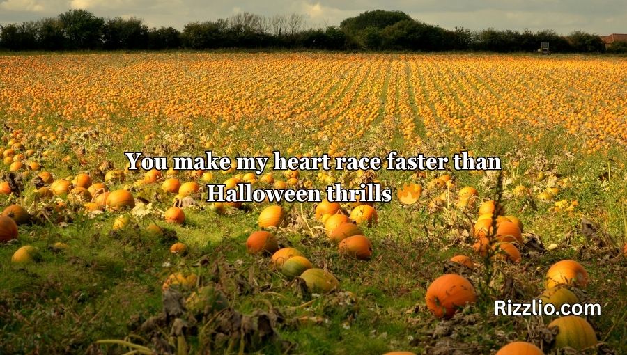 Pumpkin Pick Up Lines