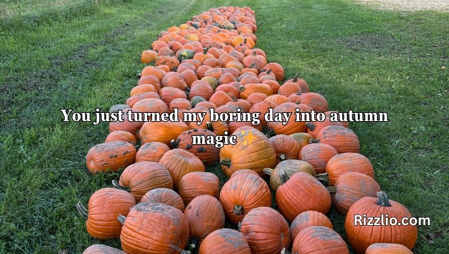Pumpkin Pick Up Lines