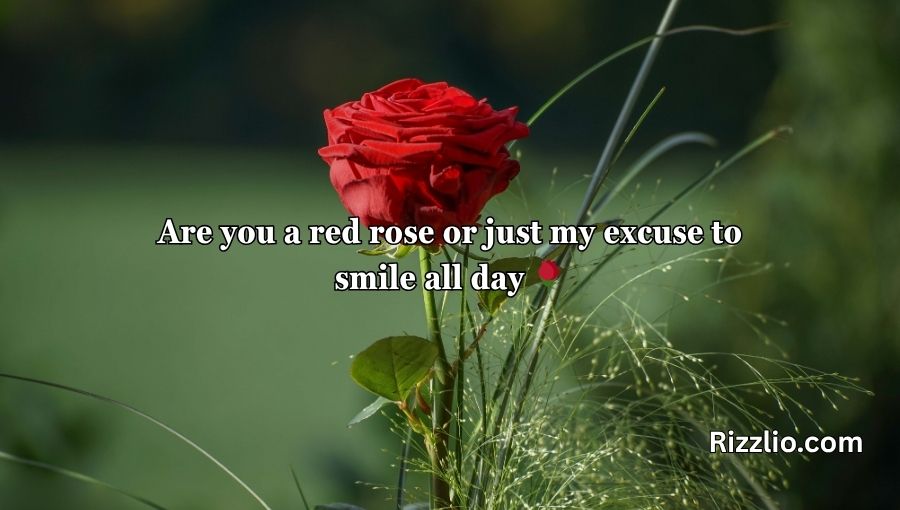 Red Roses Pick Up Lines