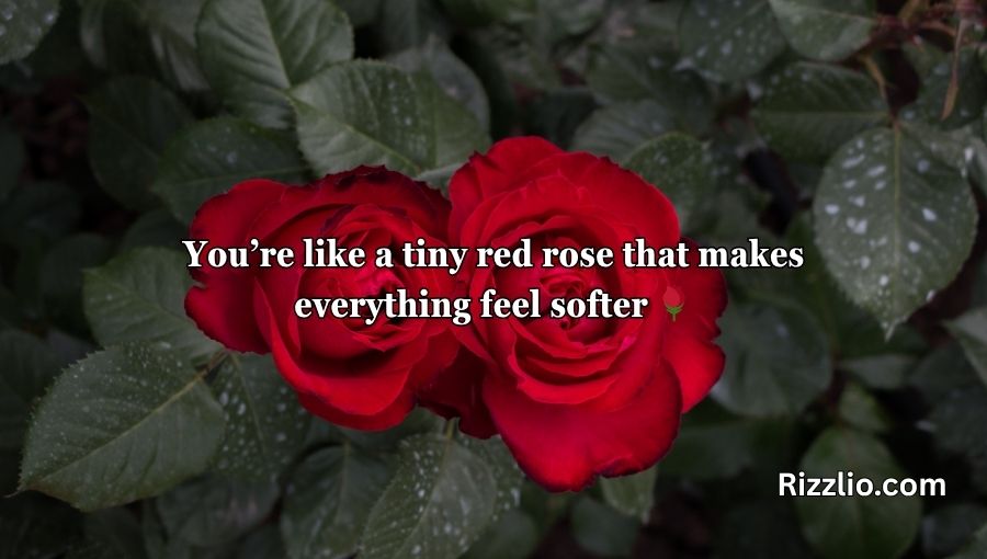 Red Roses Pick Up Lines