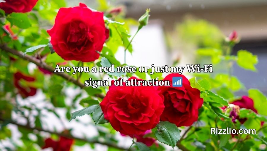 Red Roses Pick Up Lines
