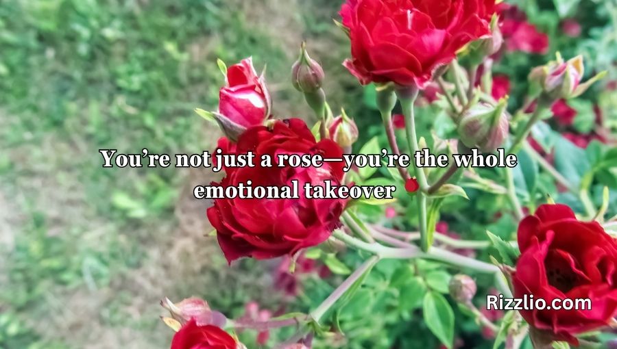 Red Roses Pick Up Lines