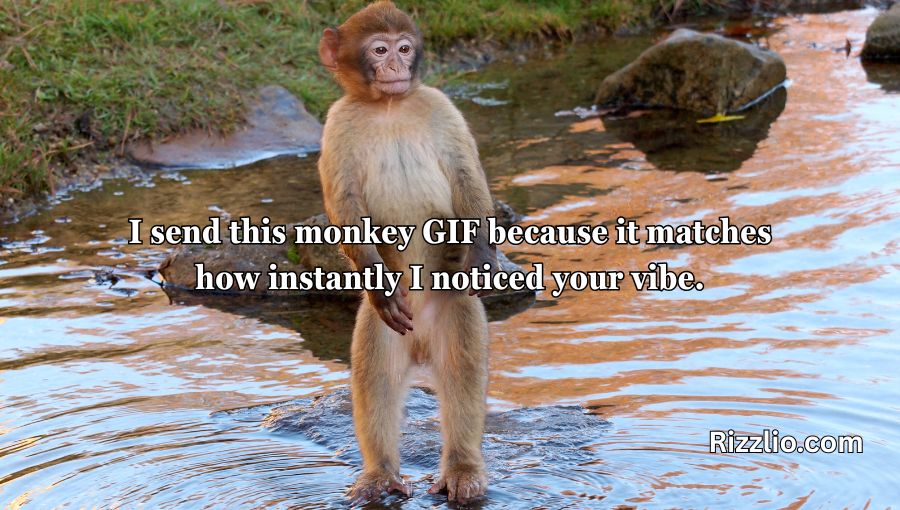 Rizz Monkey GIF Pick Up Lines