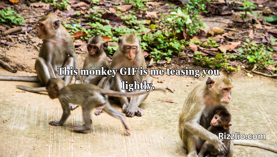 Rizz Monkey GIF Pick Up Lines