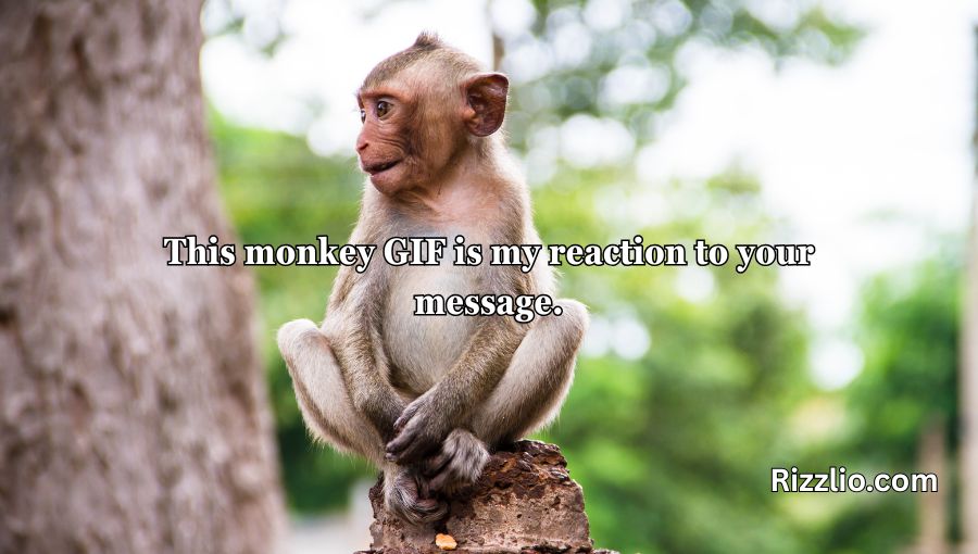 Rizz Monkey GIF Pick Up Lines