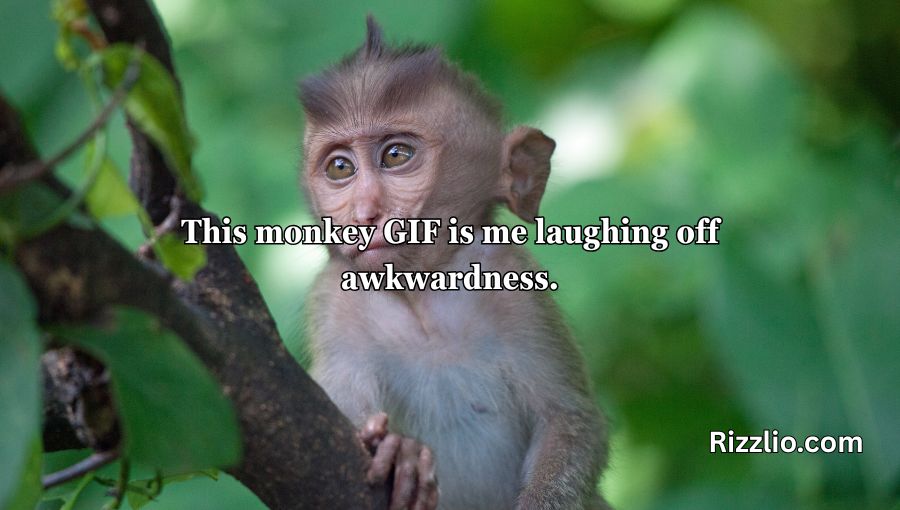Rizz Monkey GIF Pick Up Lines