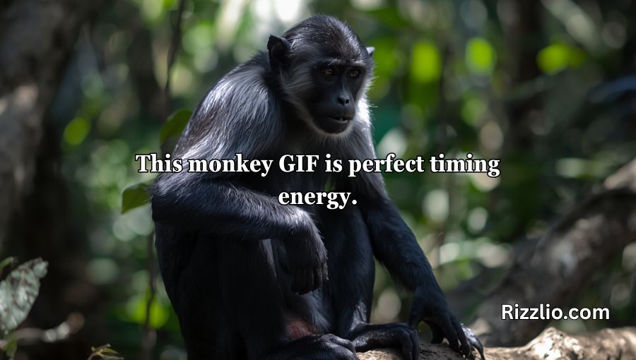 Rizz Monkey GIF Pick Up Lines