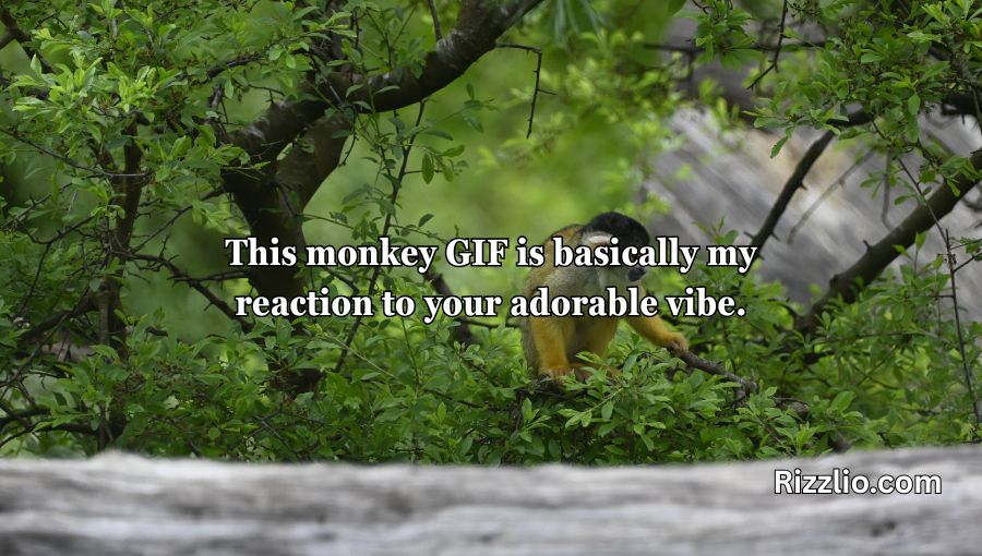 Rizz Monkey GIF Pick Up Lines