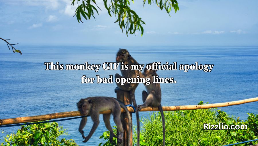 Rizz Monkey GIF Pick Up Lines