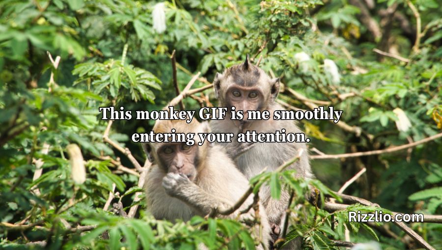 Rizz Monkey GIF Pick Up Lines