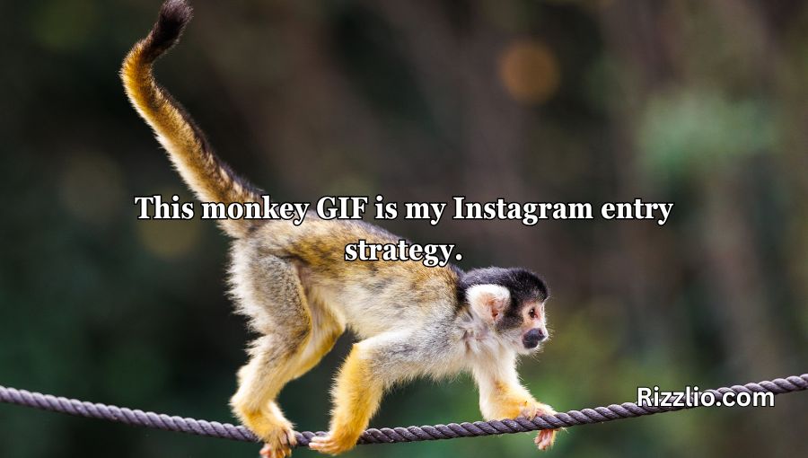 Rizz Monkey GIF Pick Up Lines