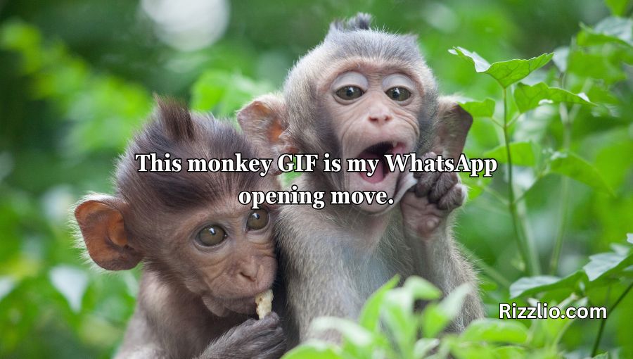 Rizz Monkey GIF Pick Up Lines