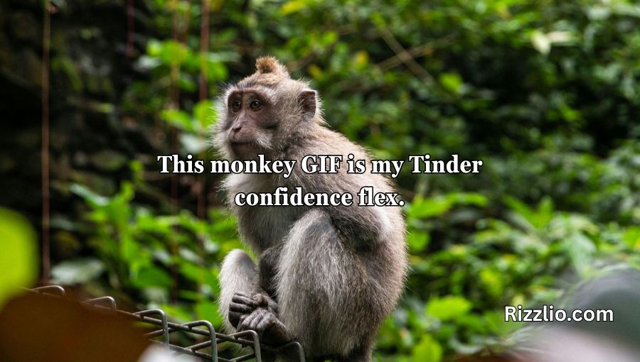 Rizz Monkey GIF Pick Up Lines
