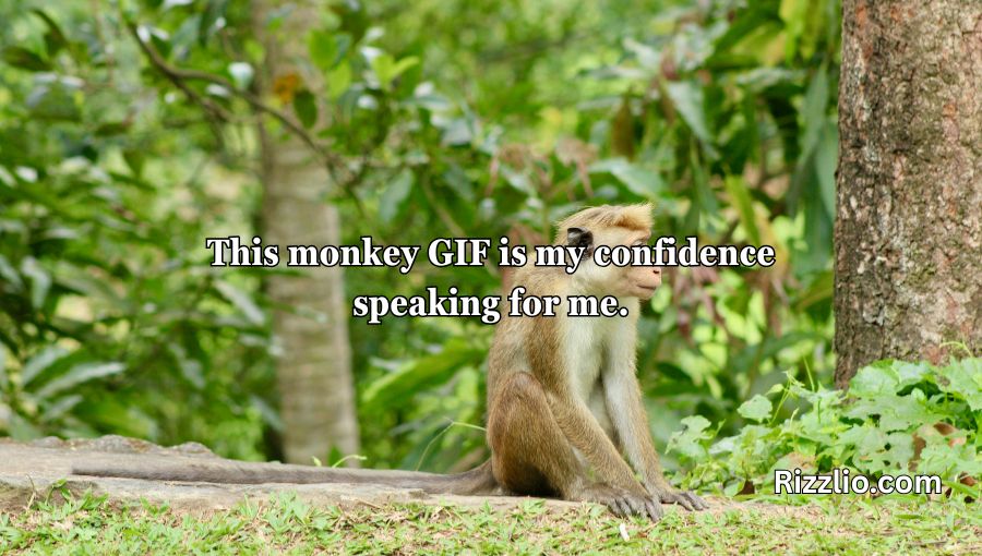 Rizz Monkey GIF Pick Up Lines