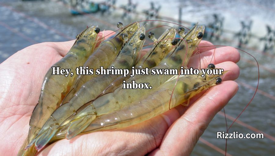 Shrimp Pickup Lines