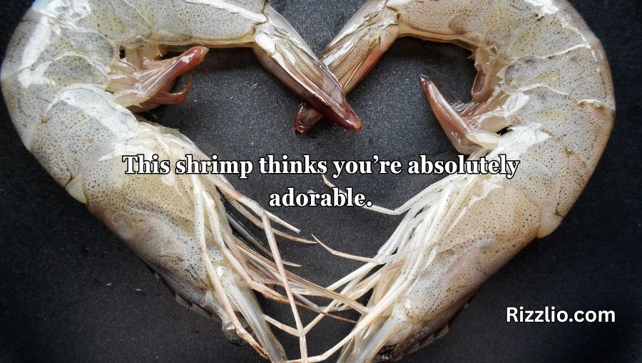 Shrimp Pickup Lines