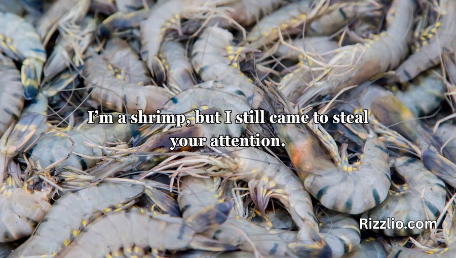 Shrimp Pickup Lines