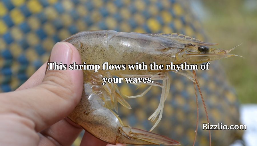 Shrimp Pickup Lines