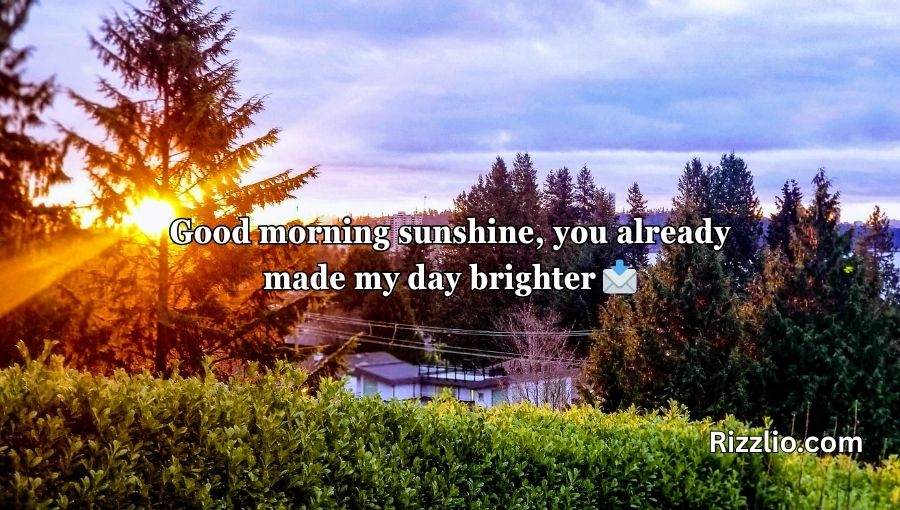 Sun Pick Up Lines