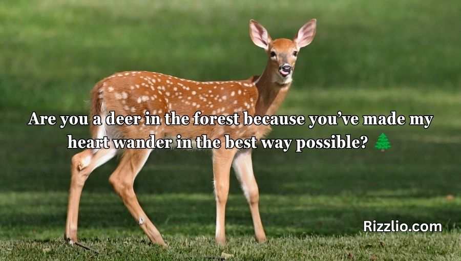Deer Pick Up Lines