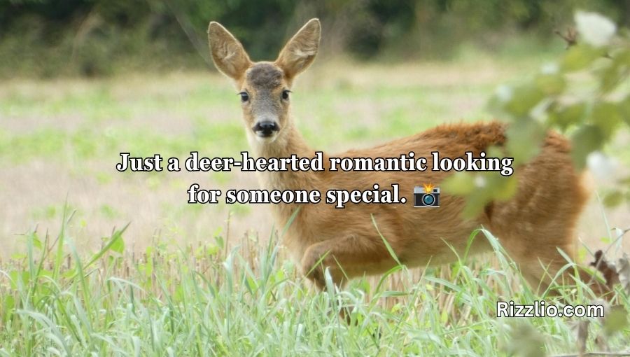 Deer Pick Up Lines
