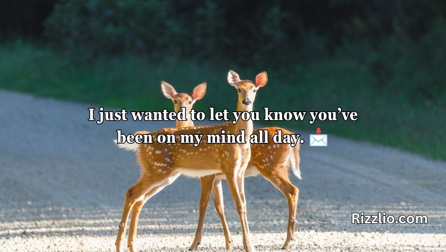 Deer Pick Up Lines