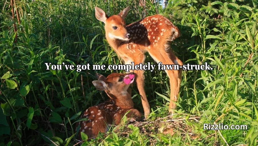 Deer Pick Up Lines