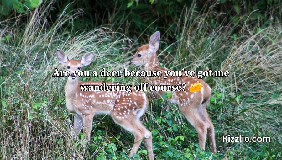 Deer Pick Up Lines