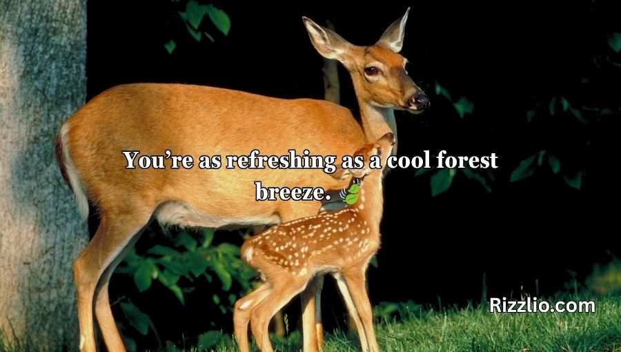 Deer Pick Up Lines