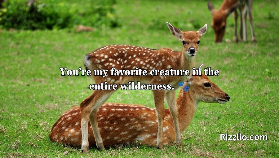 Deer Pick Up Lines