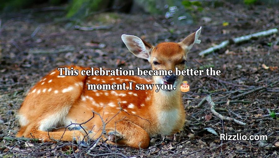 Deer Pick Up Lines
