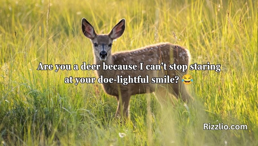 Deer Pick Up Lines