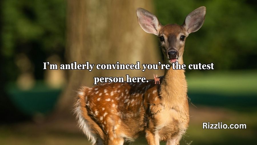 Deer Pick Up Lines