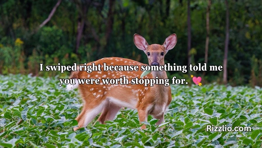 Deer Pick Up Lines
