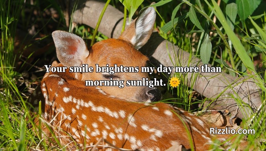 Deer Pick Up Lines