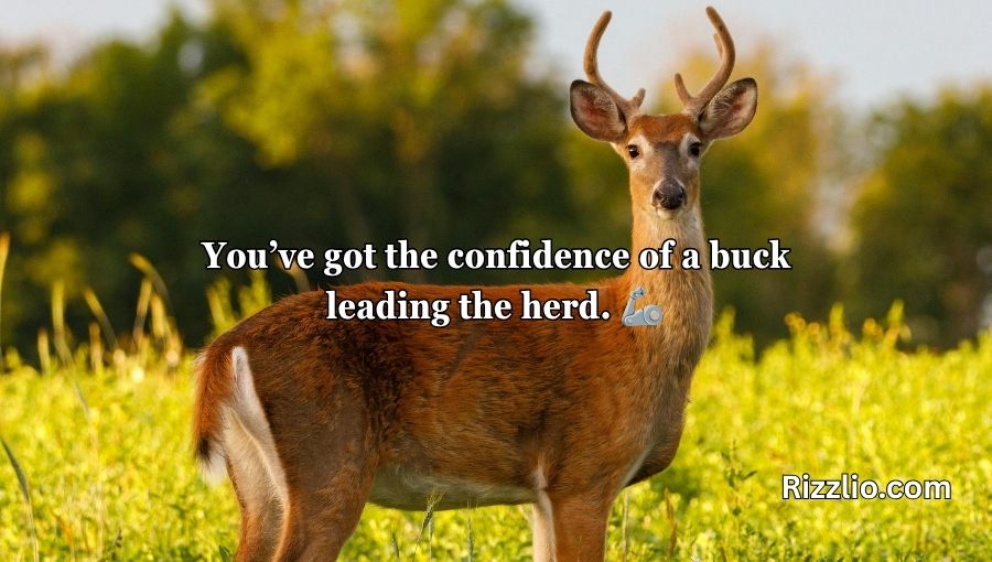 Deer Pick Up Lines