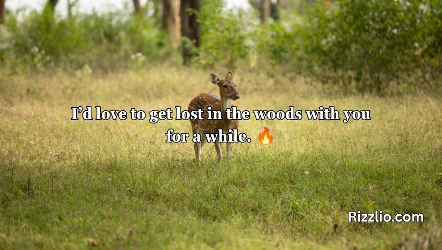 Deer Pick Up Lines