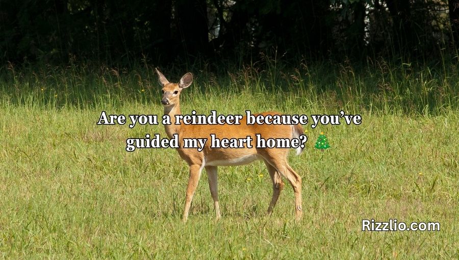 Deer Pick Up Lines