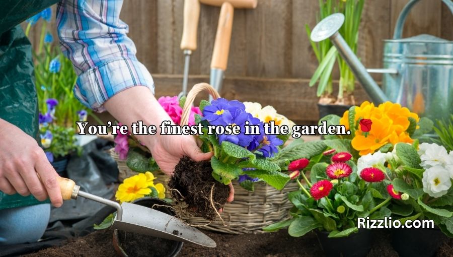 Garden Pick Up Lines