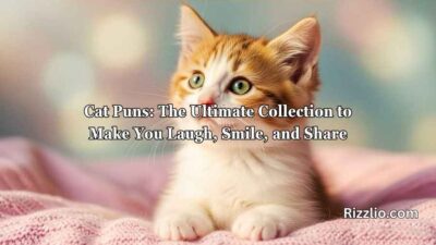 Cat Puns
