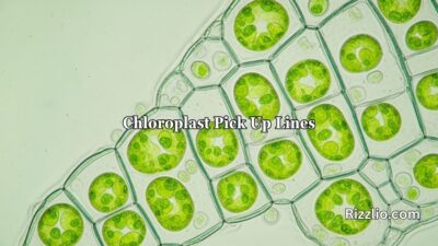 Chloroplast Pick Up Lines