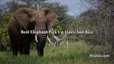 Best Elephant Pick Up Lines And Rizz