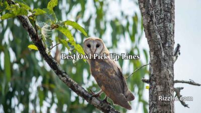 Best Owl Pick Up Lines