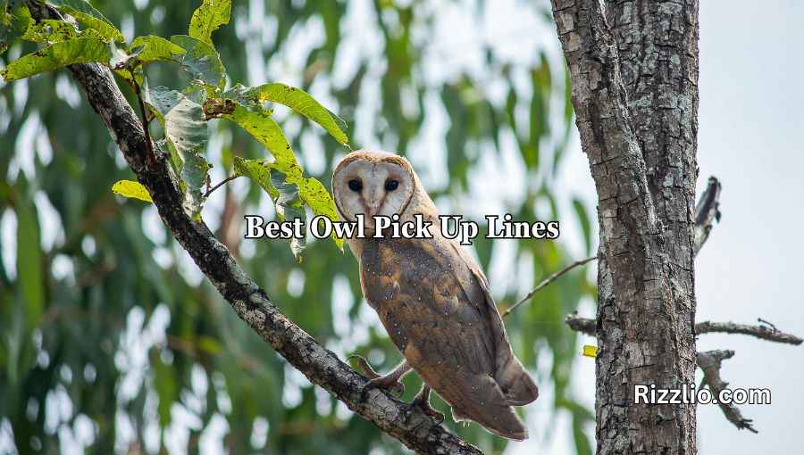 Best Owl Pick Up Lines